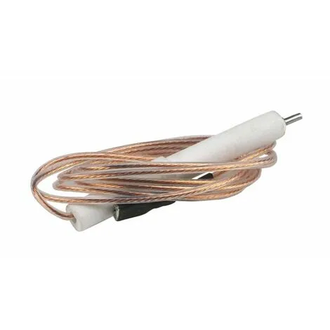 Électrode Spécifique - FERROLI : 39801640 1 Électrode Spécifique - FERROLI : 39801640