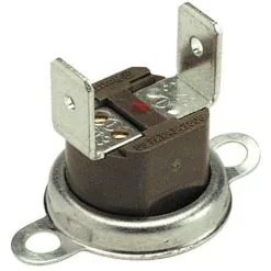 Sécurité Surchauffe - FERROLI : 39800170