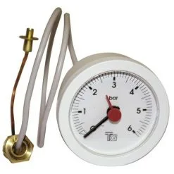 Manomètre - FERROLI : 39803890