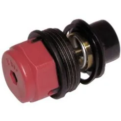 Soupape De Sécurité 3b - FERROLI : 39822080